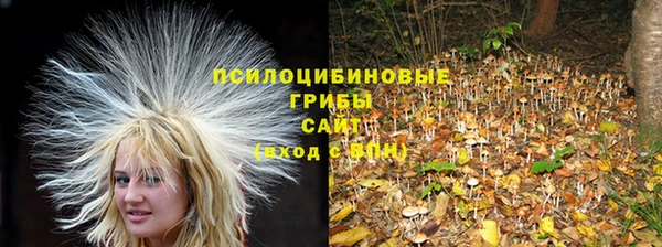 ешки Армянск