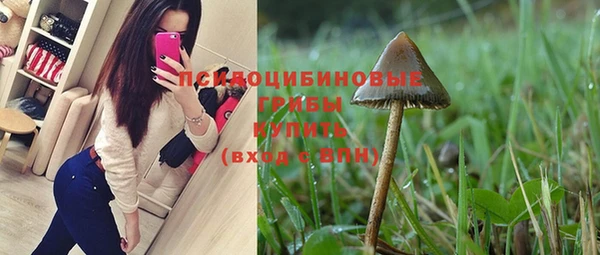 СК Алексеевка