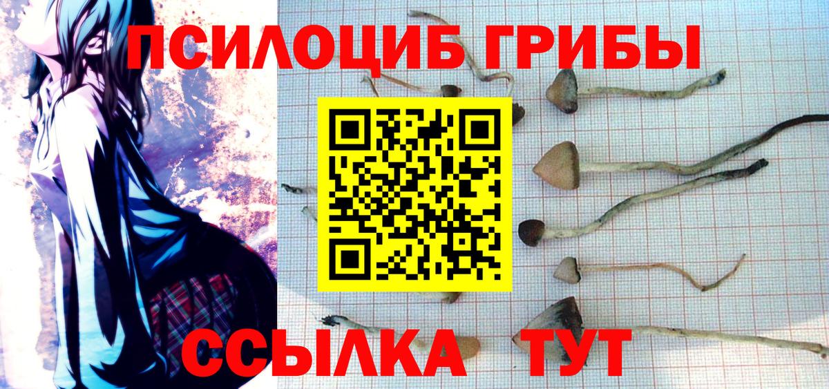Псилоцибиновые грибы Psilocybine cubensis Одинцово