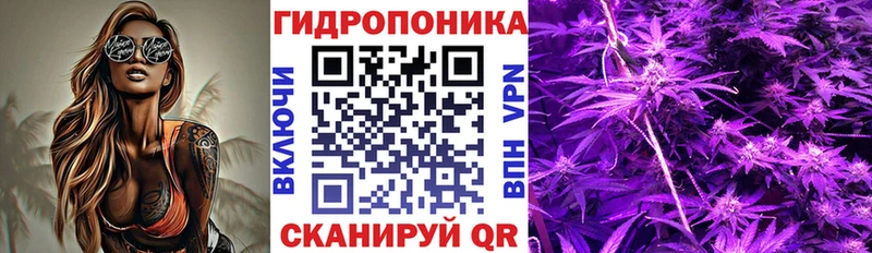 Бошки Шишки VHQ  blacksprut ССЫЛКА  Одинцово  продажа наркотиков 